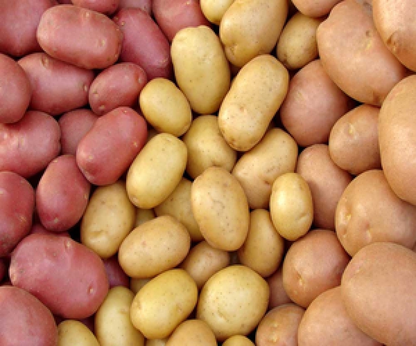 Прайс-лист  на товарный картофель